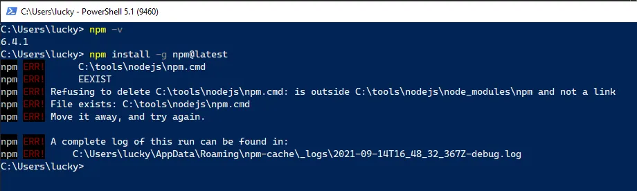 initial error with npm install